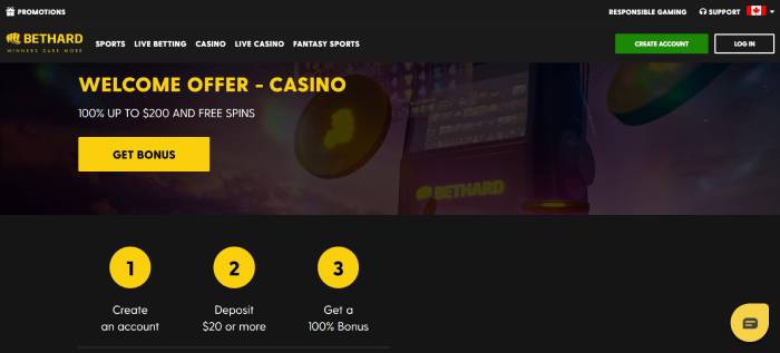 Bethard Casino ScreenShot 1