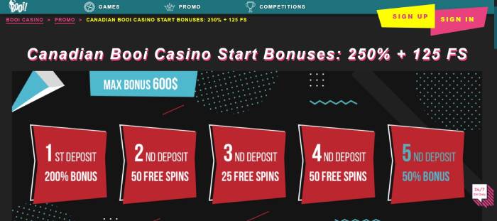 Booi Casino ScreenShot 2